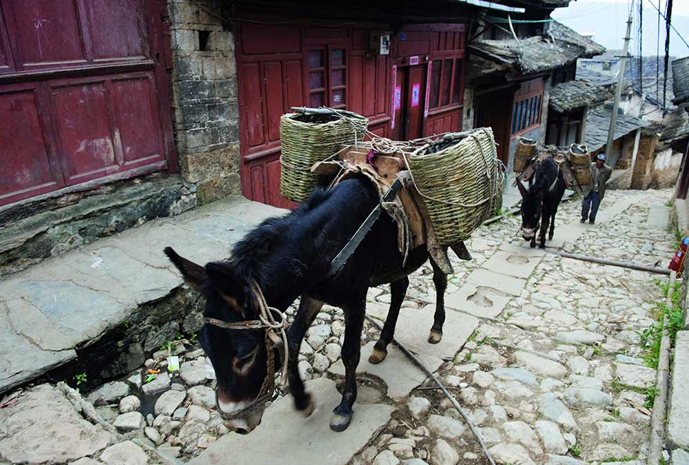 Photo by Michael Freeman